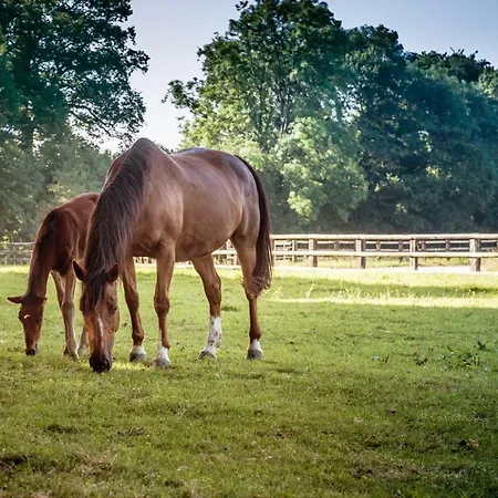 Manoir De Sens Bed & Breakfast Beuvron-en-Auge