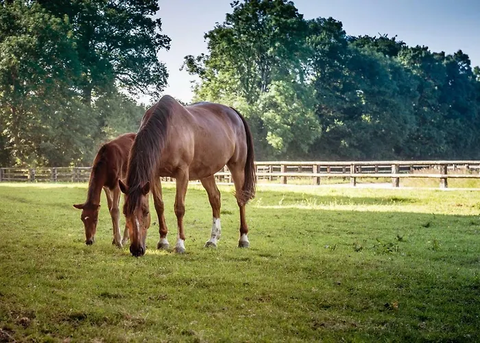 Manoir De Sens Bed & Breakfast Beuvron-en-Auge